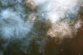 2010-02-04 08.26.50.jpg