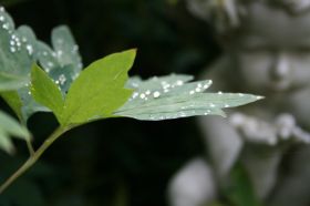 2012-07-21 023.JPG